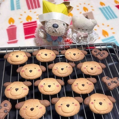 かわいくておいしいあいちゃんが いっぱい(ᐡ◜౿◝ᐡ)🎉🍪✨️✨️
