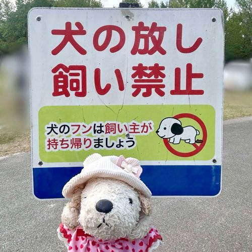 ᐡ･֊･ᐡ🚯
