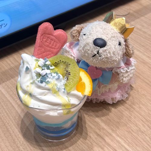 なつを たのしむ🥄(ᐡ ´ᆺ｀ᐡ)🎐