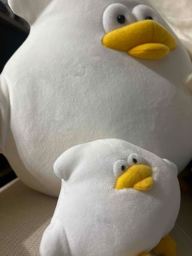 おれはとりもち
小さいのは子分のちぃかわとりもち
（もふもふSNSの管理は家主がおこないます）