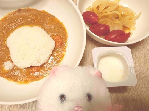 海老入りカレーだよ〜！　レトルト食品ってすごく助かる〜　美味しくいただいたよ！　明日からまた無理せずにね〜