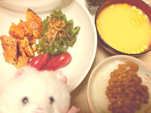 鮭の焼いたやつ〜！　カラフルな食卓になったね、美味しかったよ〜！　でもちょっとしょっぱかった💫