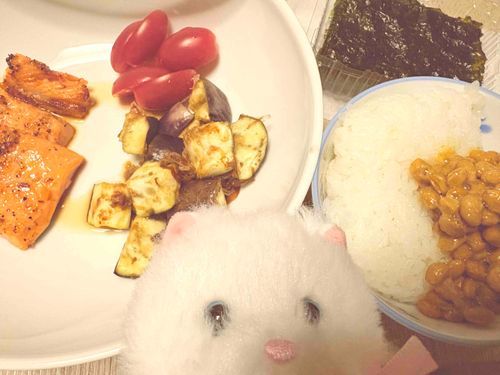 いつもの〜！　鮭はやっぱり美味しいよね！　来週も楽しいことがあるといいな〜　今週もお疲れ様〜！