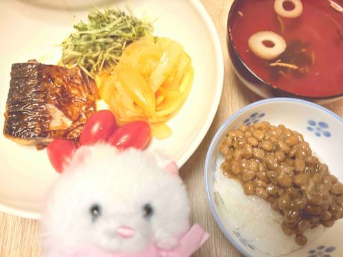 焼き鯖をいただいたよ〜！　緑色のお野菜は豆苗だよ、この前食べた後に水替えして育てたの！　とってもお得だね👍