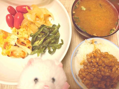 卵焼きとサラダチキンにお野菜だよ〜！　寒くなって、ちょっと風邪っぴきかも？　あったかくして元気に過ごそうね！
