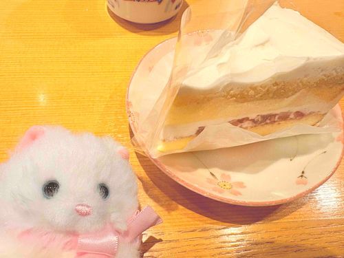 みんな、いつもありがとう❣️ 昨日ね、実は誕生日だったんだ　サービスのケーキに舌鼓を打ったよ、今年もよろしく〜