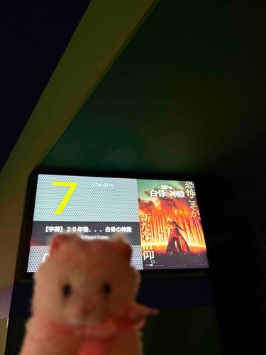 前に映画を観に行った時の写真だよ！　ファシズムにノーを突きつける、友情ものの映画だと思ったよ〜　今日は選挙に行ったんだ！　これからの日本がどうなっていくか、誰が選ばれても、諦めずにその動向をチェックしていこうね〜🤲