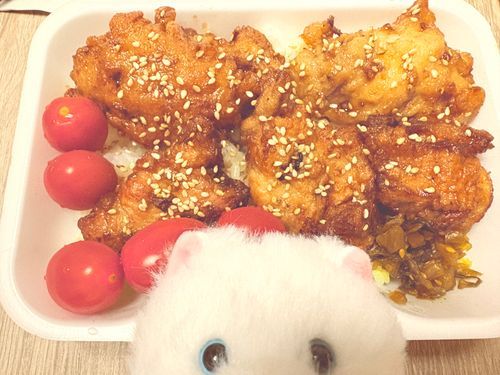 みんな久しぶり！　忙しくってなかなか投稿から遠のいちゃってたよ、ごめんね　そんな中でもいいねをくれた人、ありがとうね❣️  一段落したから、お弁当を買いに行ったよ！　作ってくれる人に感謝だね❣️