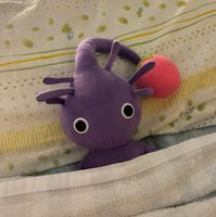 ちえ丸