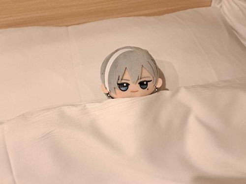 😴😴😴 
寝るのが大好きなゆきぬ。