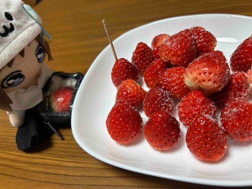 音葉です、いちご🍓美味しいです☺️