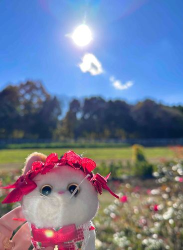 今日、お天気良くてさぁ〜〜！ぽかぽか幸せだね。