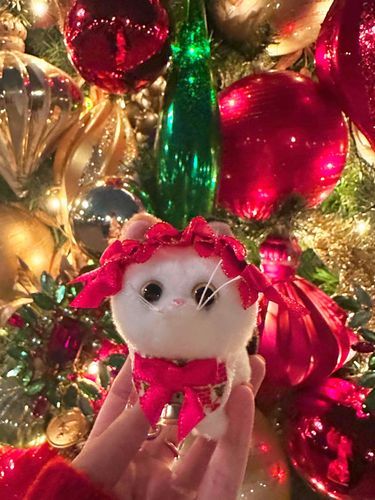 赤色とキラキラ！クリスマス！大好き