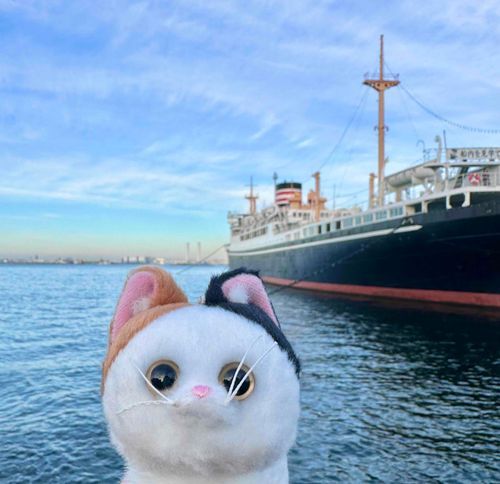 船ってロマンだよね〜！いつか旅したいのぉ…