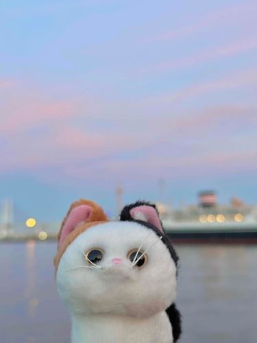 これは夕方のおセンチ写真