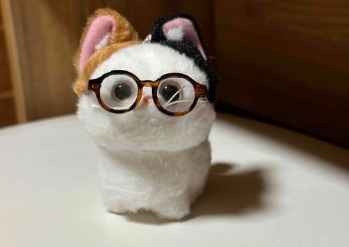 ぬしが、眼鏡買いに行ったはずなのになぜかおつぶちゃんだけ眼鏡を買って帰ってきたよ。猫用の眼鏡なんてものもあるんだね〜？
