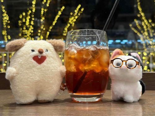 1ヶ月ぶりに犬と遊んだ！鬼太郎見に行く予定だったけど遅刻して見れなかったんだ…。近いうちにまた犬と見に行く。