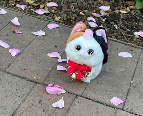 おはな。びら。