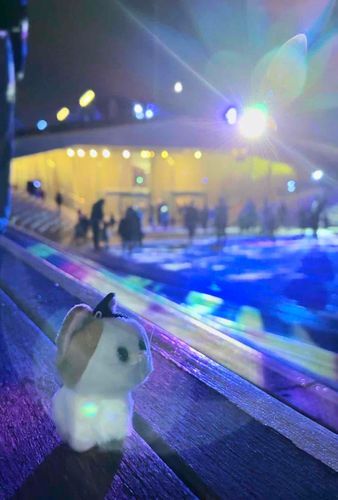 ちびっ子達が光の動きに合わせて凄い勢いで走ってた夜。