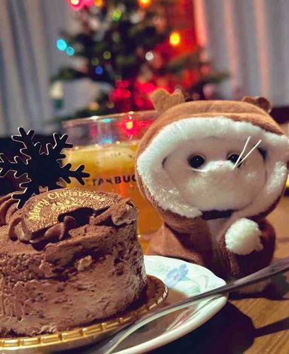 ひと足早いクリスマス🎄✨お衣装がはち切れそうなので痩せなきゃなのかも…。