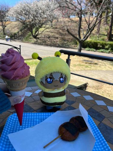 梅ソフトも揚げ餅も美味しかった〜！