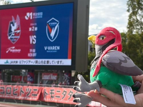 雉ピン