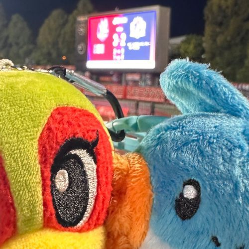 ピンボケ勝利🏆