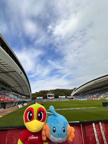 VS福岡スピアーパイセン現地参戦！
負けて悔しいゴロ😖
雨続きで久しぶりに連れてってもろた丸