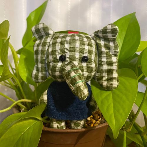タイ生まれのタイ子です🐘
生き別れのお兄ちゃんを探しに日本にきました