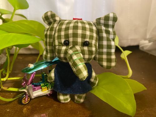 愛車はトゥクトゥク