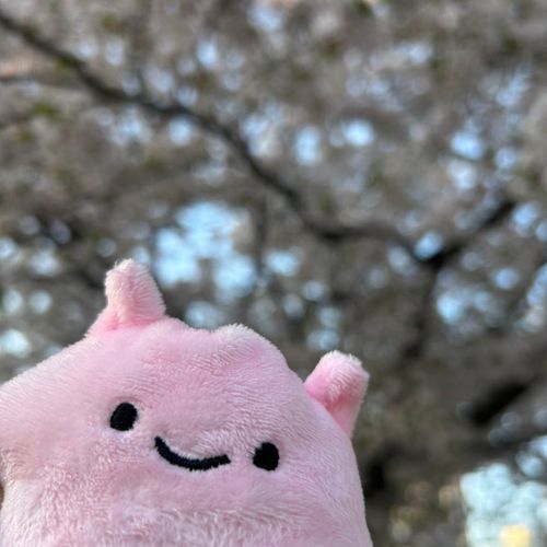 めんだこ氏
