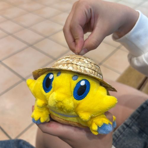 お迎えした日のバチュル