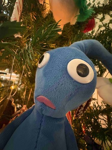 メリークリスマス！🎄