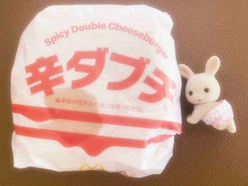 マックの中で1番好きなんだ〜🌶️🍔