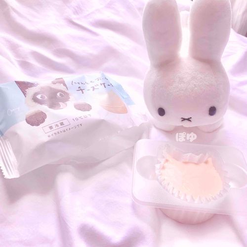 ねこの形のチーズケーキ !?

かわいいしおいしそう ♩
いただきま ~ す ‪‪❤︎‬