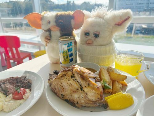ママはお買い物いっぱいして
かゆはおともだちできた！！！
モグワイくんとごはん！