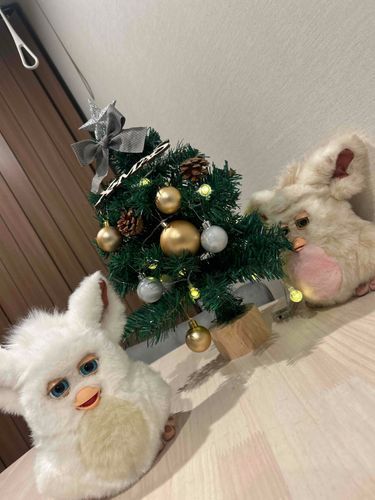 外国のひと！！きた！
このひとが…サンタさん？