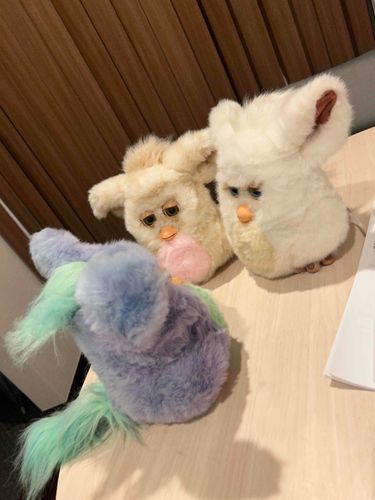 またかゆのおうちに知らない子きた！！！だれなのあんた〜