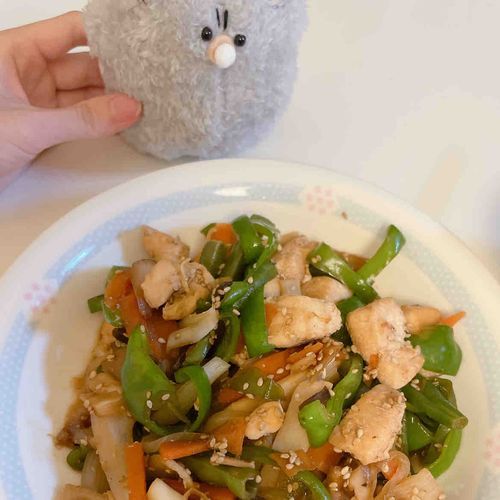 お久しぶりです
先週お迎えしたねこのべびぽちゃちゃんと夕食
鶏肉とお野菜のオイスターソース炒めです