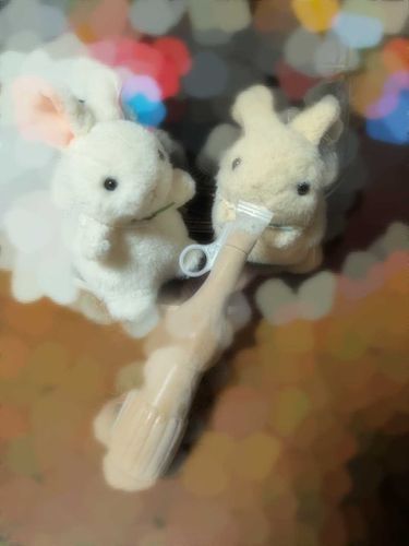 🌾もなぁ〜パピコたべるもな
🍚まさかその体色は……