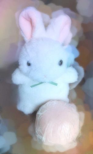🍚紅白饅頭の紅のほうを頂いたよ。私と合わせて紅白だね。