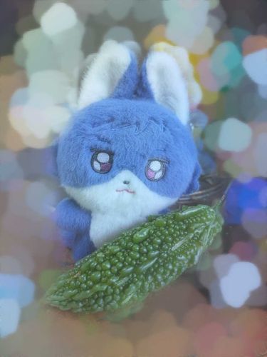 🏹お庭で取れた夏野菜でございます🎶