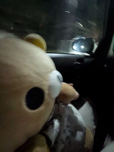くまと深夜のドライブだよー(^^♪