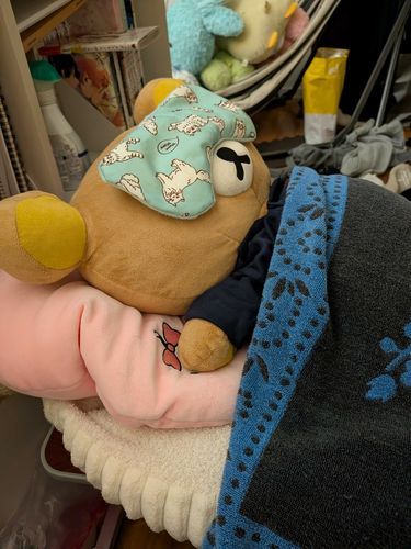 いつも専用ベッドで寝てるね‼️健やかなくま‼️いっぱいいい夢見てね