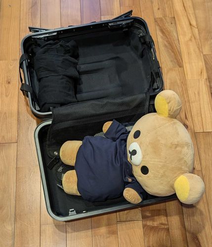 くまも一緒に旅行行きたいね‼️