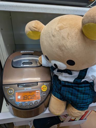 たまーにくまもお手伝いしてくれます‼️お米炊いてくれてありがとうね‼️