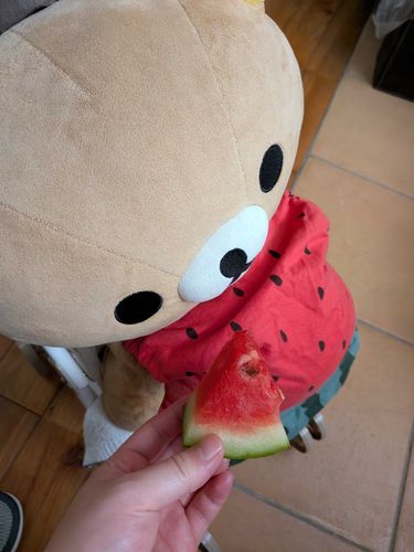 スイカの季節だね‼️いっぱい食べようねすいかちゃん‼️