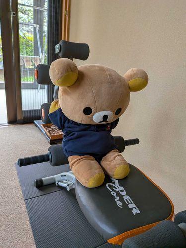 筋トレとかしてみたりする‼️くまはそのままでも素敵だと思うけどなぁ‼️