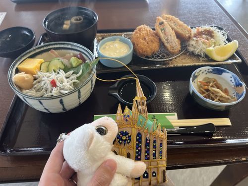 みちのえきでひがわりらんちをたべたのさ。
きょうのらんちはかいせんどんとさーもんかつでしたわ。
