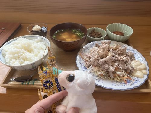 かふぇでらんちをたべたのさ。
きょうのらんちはれいしゃぶさらだでしたわ。
みそしるにえだまめがはいっていたりえのきのうめにみたいなやつがおいしかったのさ。